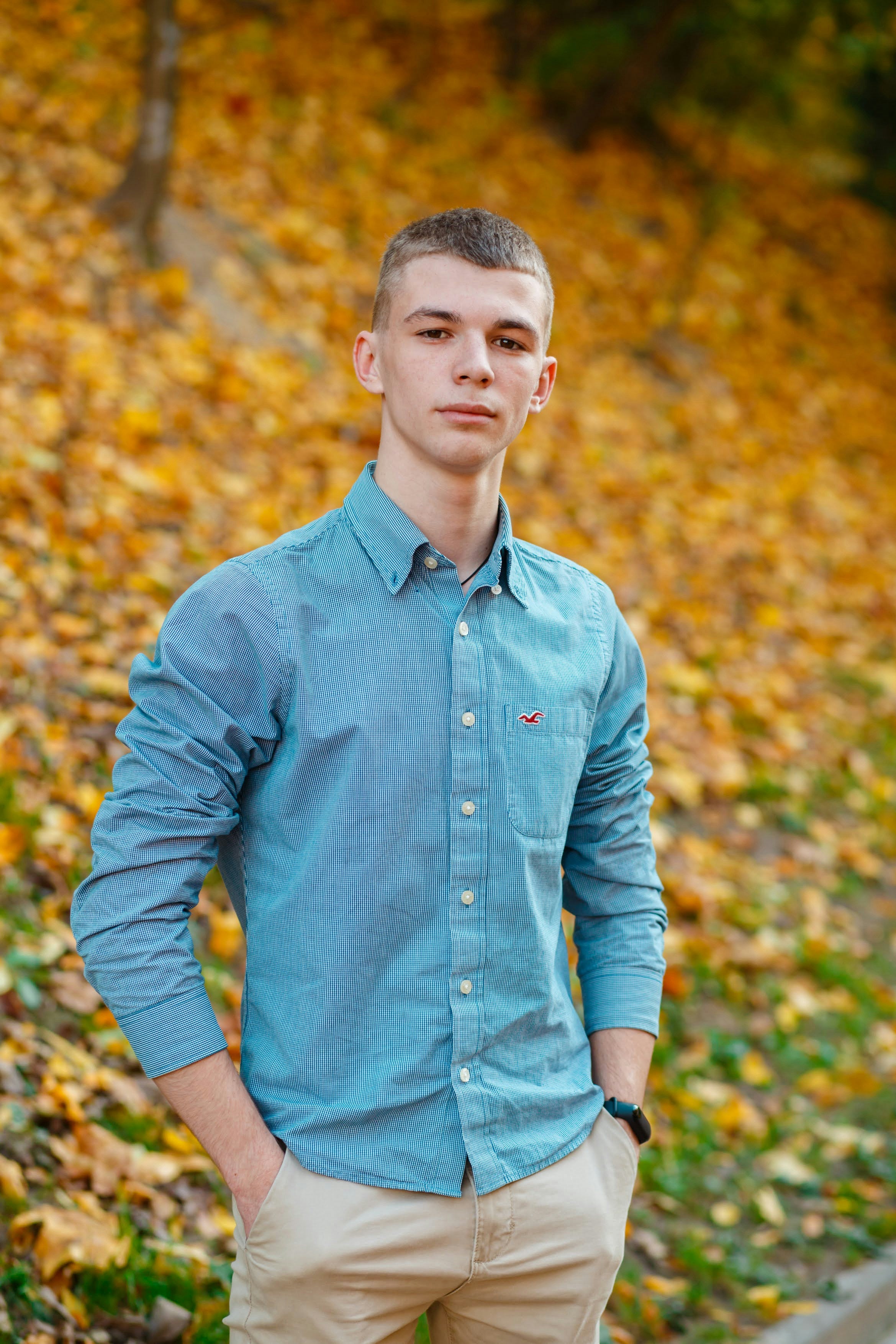 Shirts2